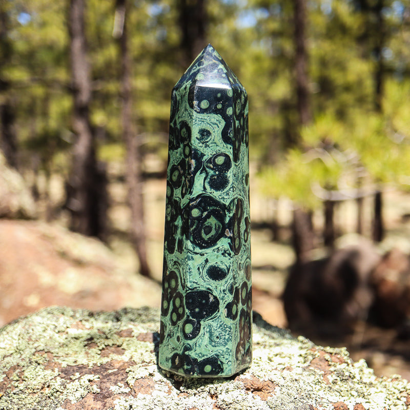 Kambaba Jasper Point