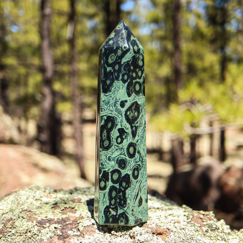 Kambaba Jasper Point