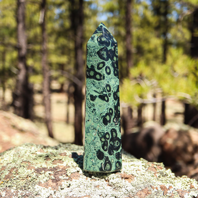 Kambaba Jasper Point