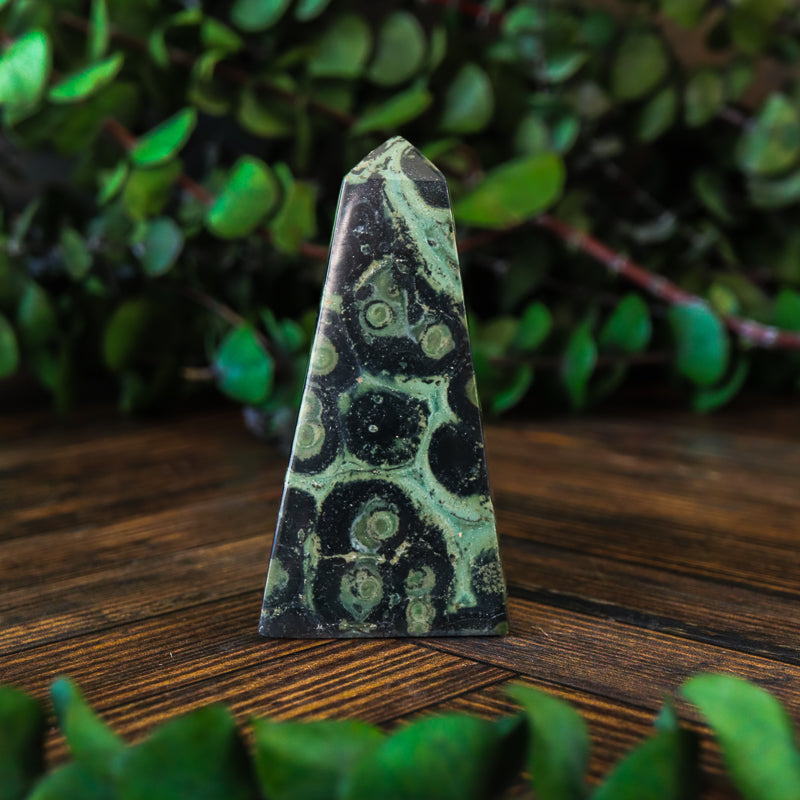 Kambaba Jasper Obelisk