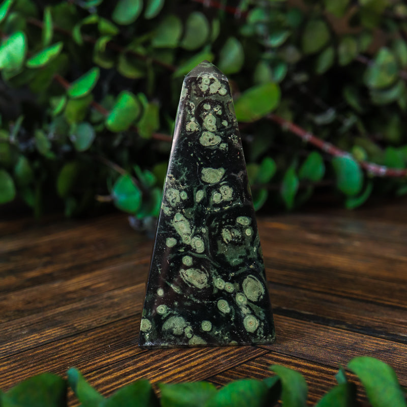 Kambaba Jasper Obelisk