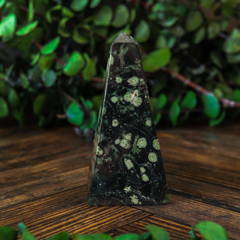 Kambaba Jasper Obelisk