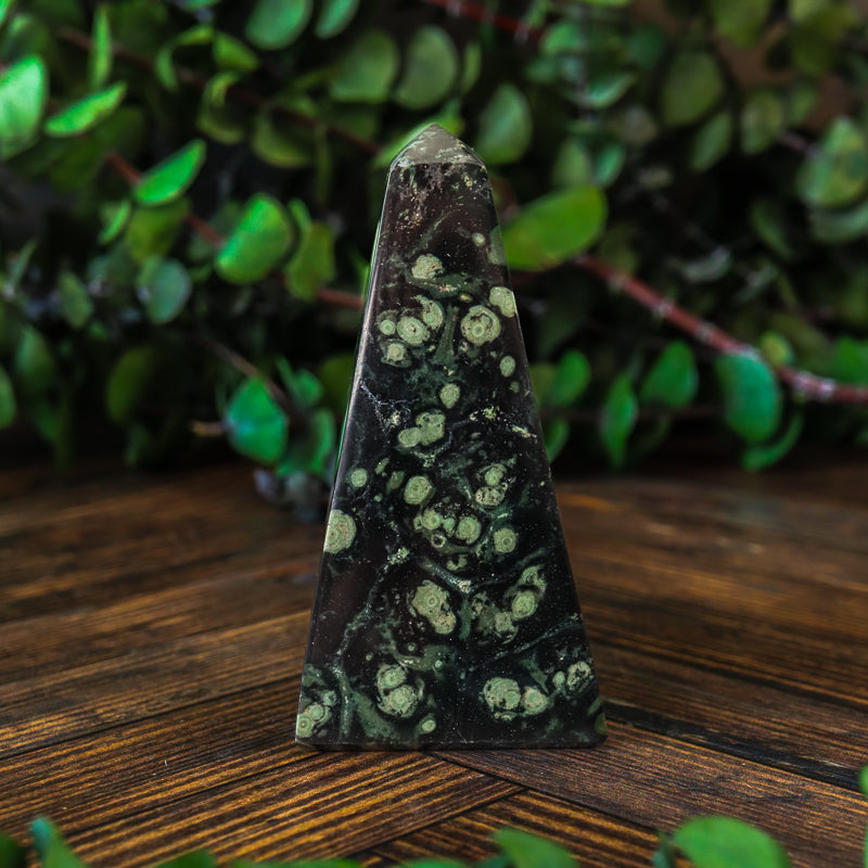 Kambaba Jasper Obelisk