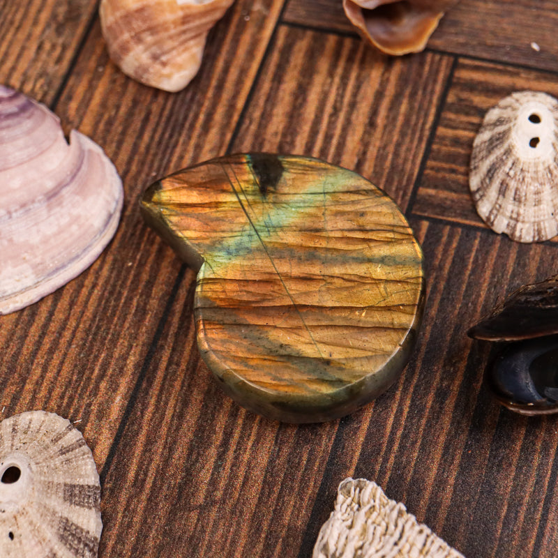 Labradorite Carved Ammonite
