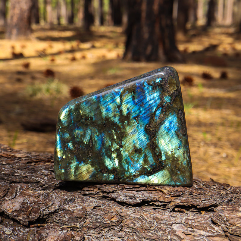 Labradorite Freeform Slabs Labradorite Freeform Slabs