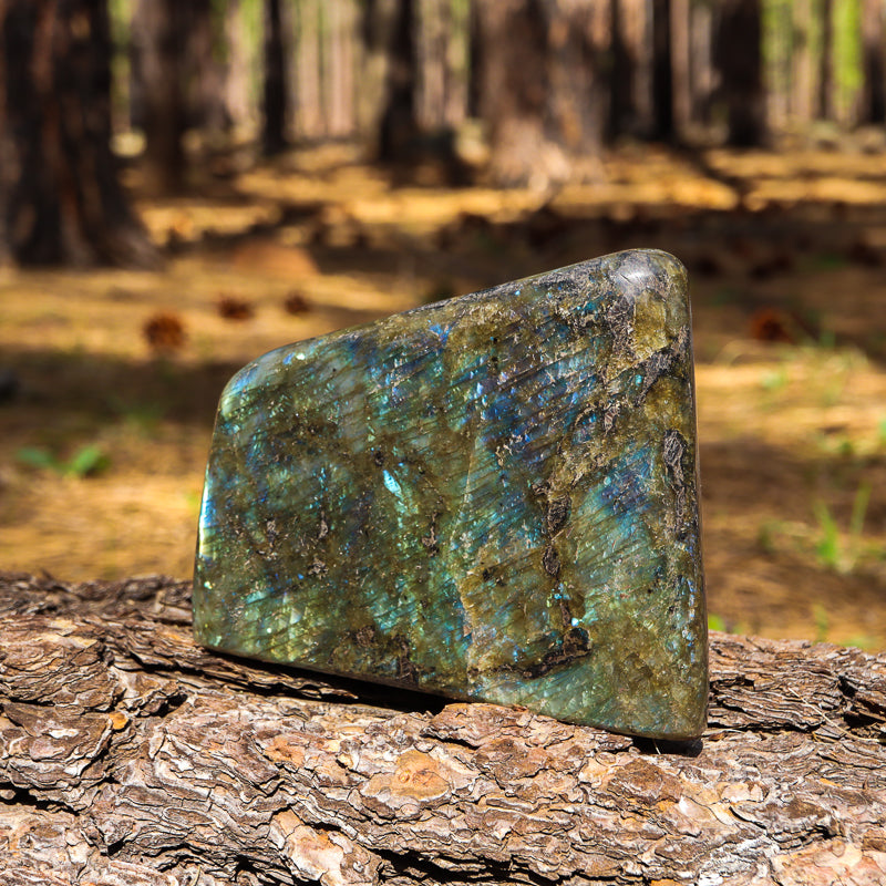 Polished Labradorite Free Form