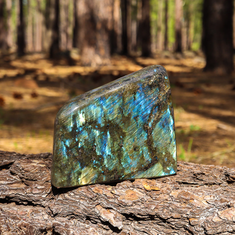 Polished Labradorite Free Form