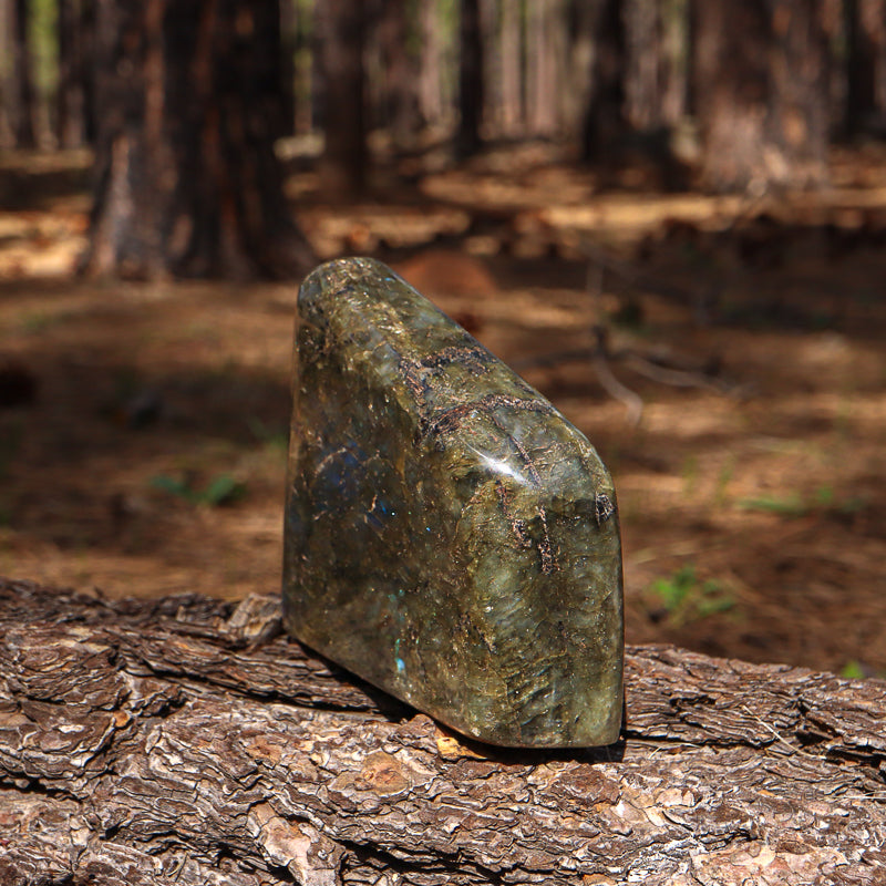 Polished Labradorite Free Form