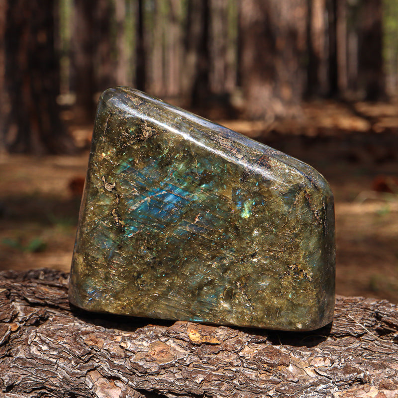 Polished Labradorite Free Form