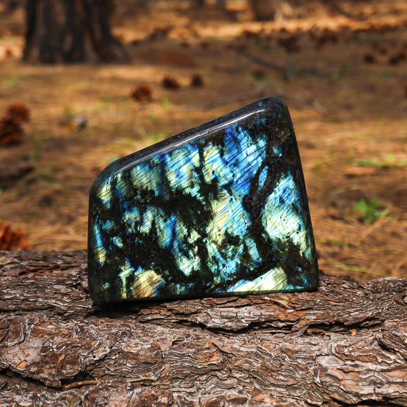 Polished Labradorite Free Form