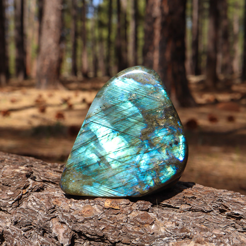 Polished Labradorite Free Form
