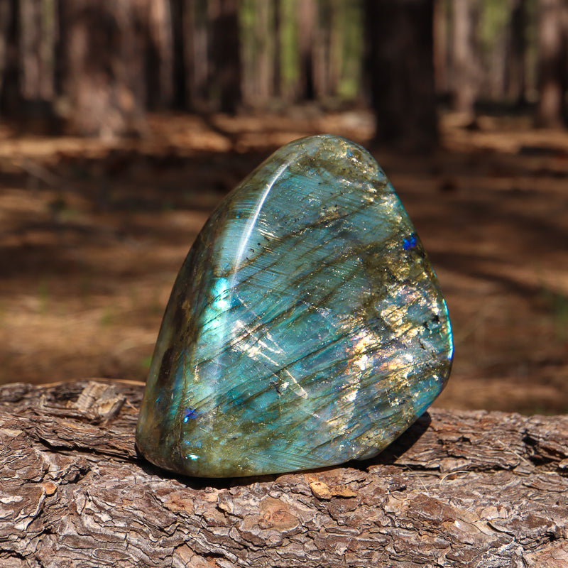 Polished Labradorite Free Form