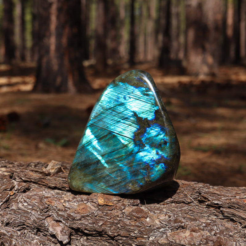 Polished Labradorite Free Form