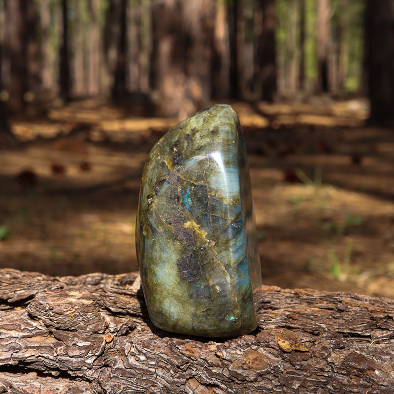Polished Labradorite Free Form
