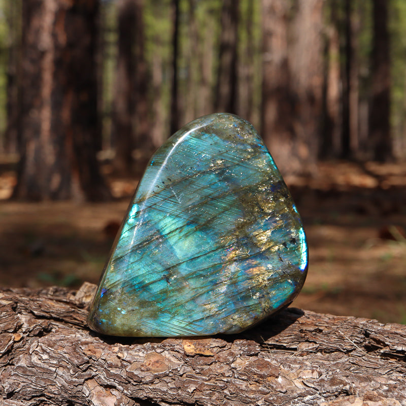 Polished Labradorite Free Form