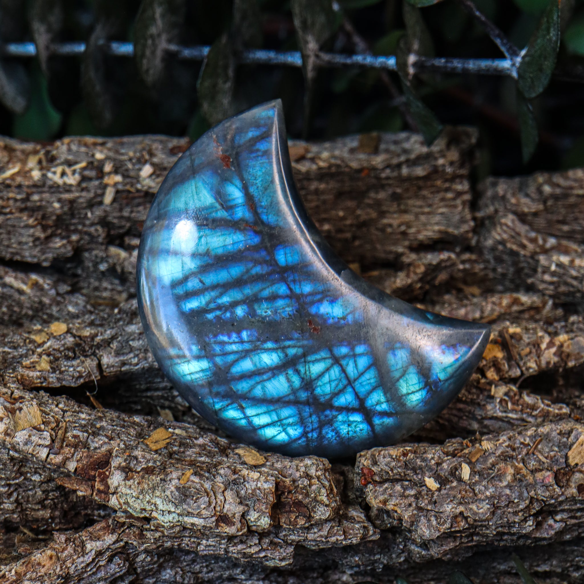 Labradorite Moon