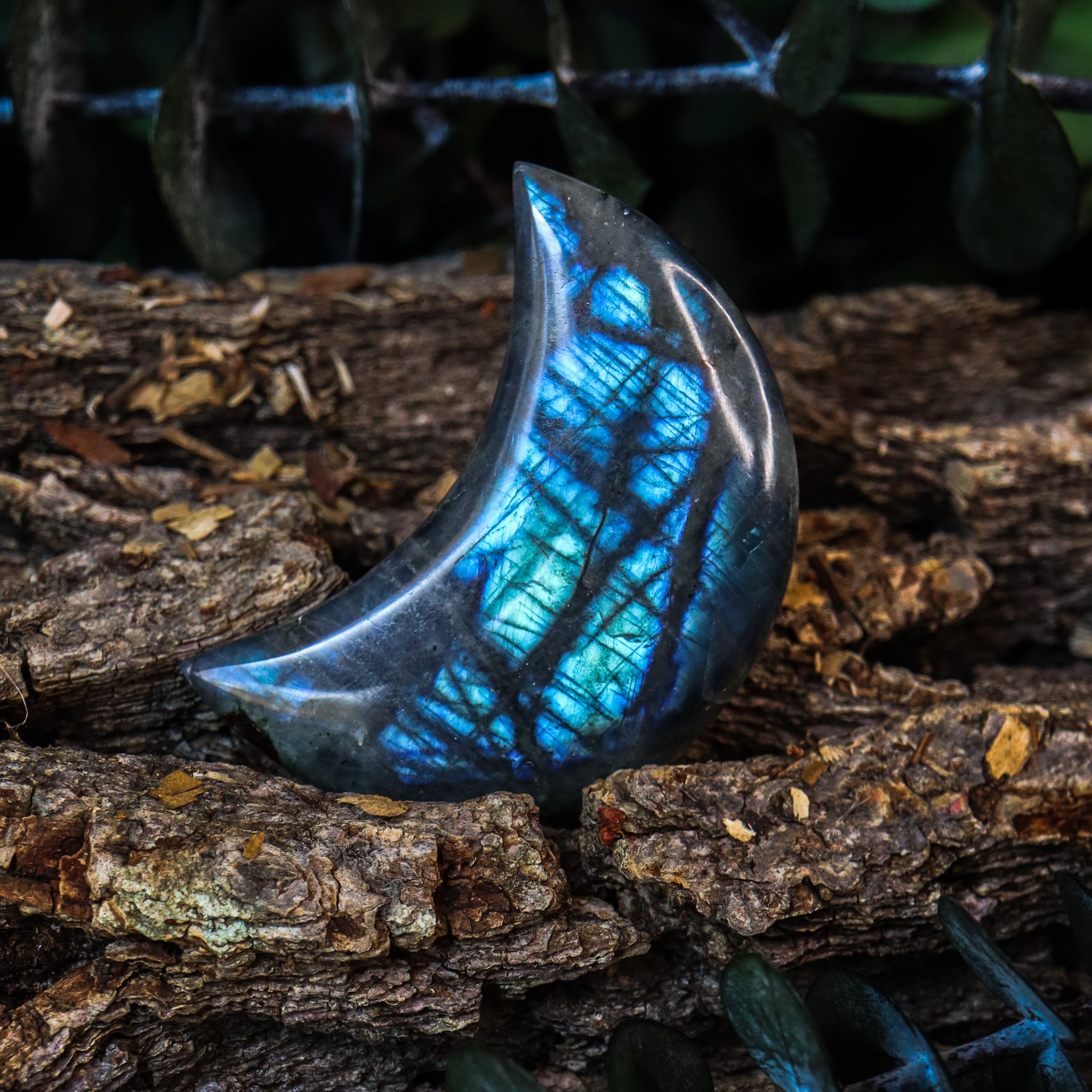 Labradorite Moon