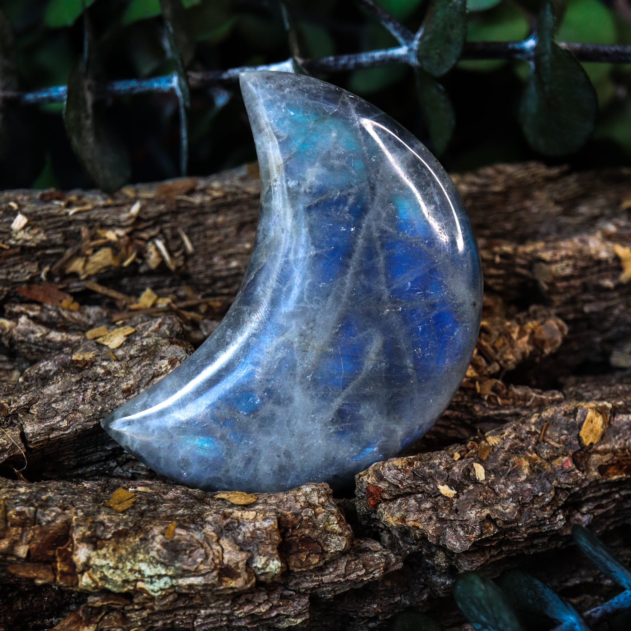 Labradorite Moon