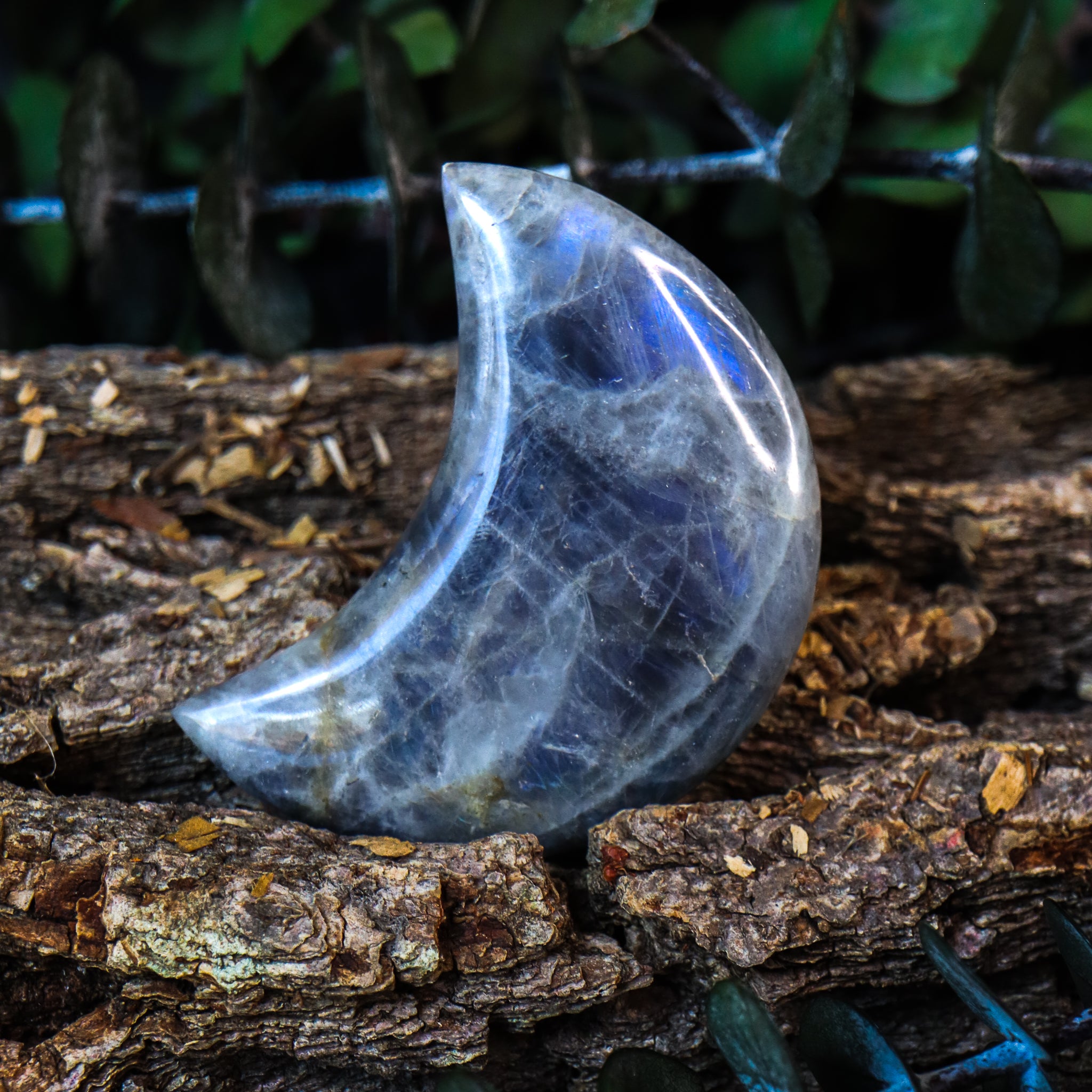 Labradorite Moon