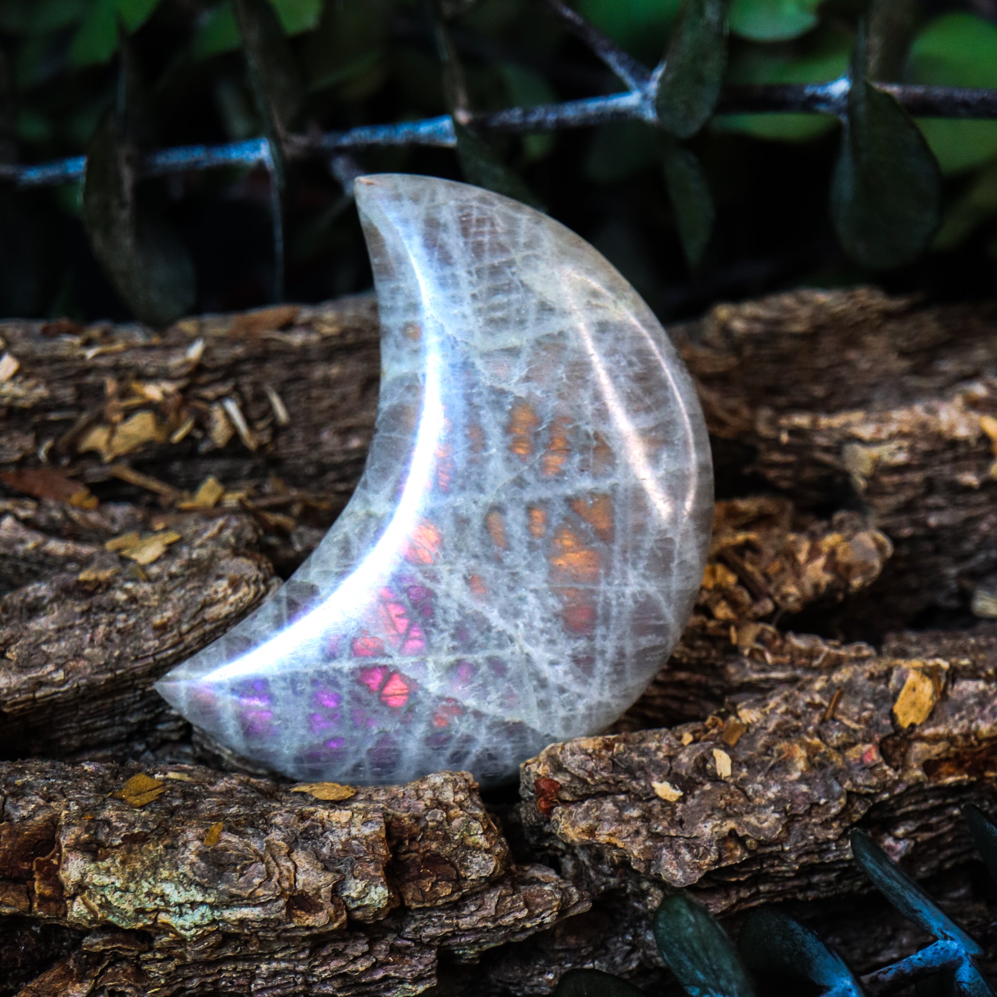 Labradorite Moon