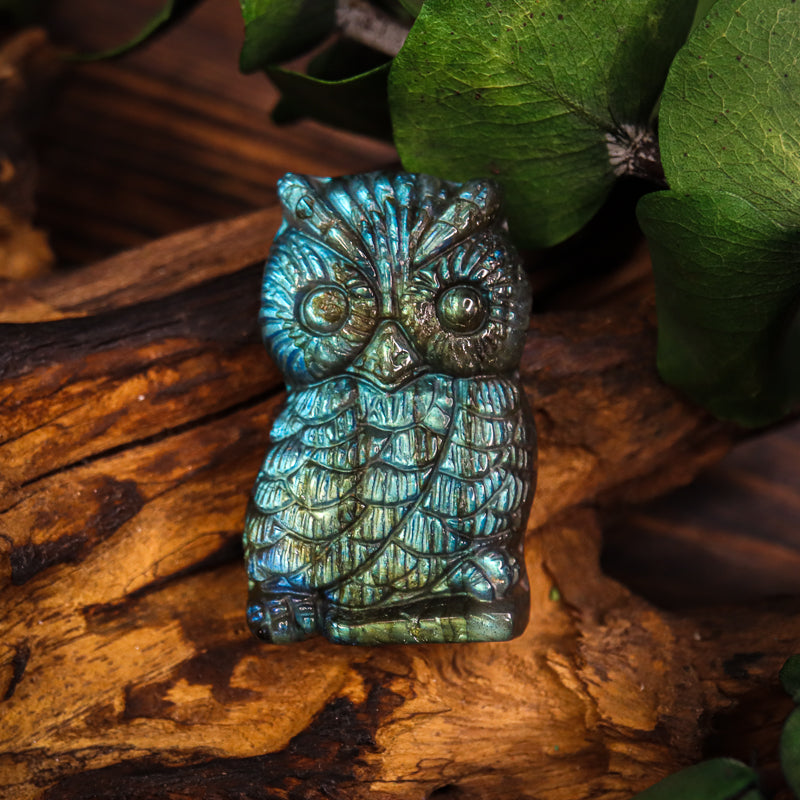 Labradorite Carved Owl