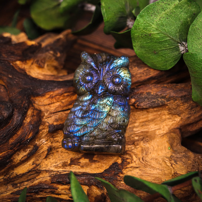Labradorite Carved Owl