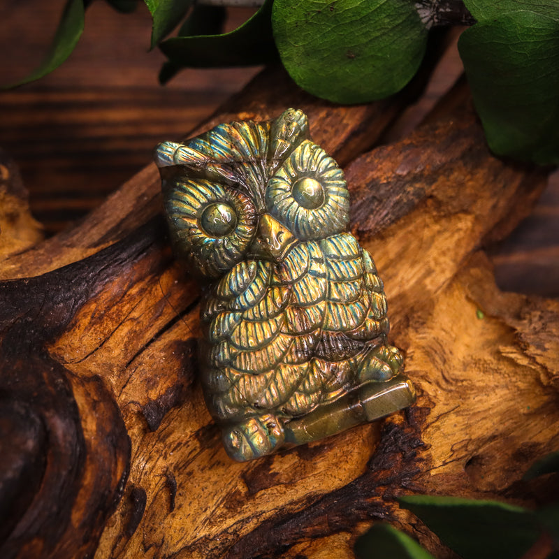 Labradorite Carved Owl