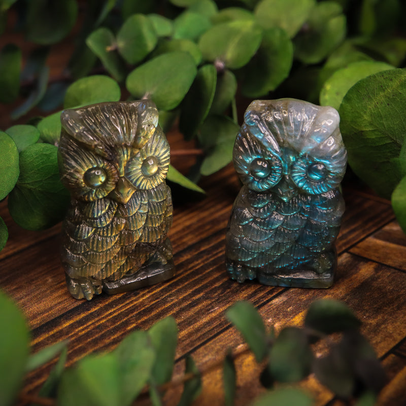 Labradorite Carved Owl