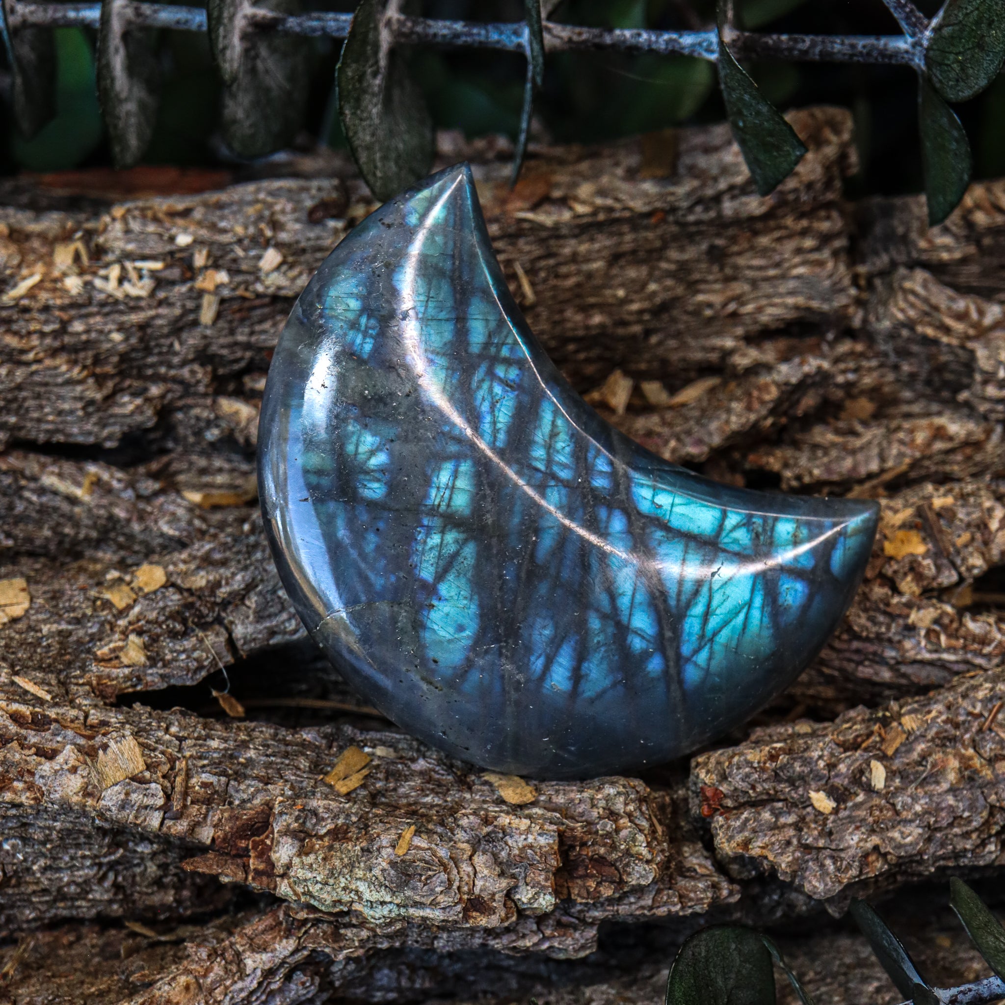 Labradorite Moon