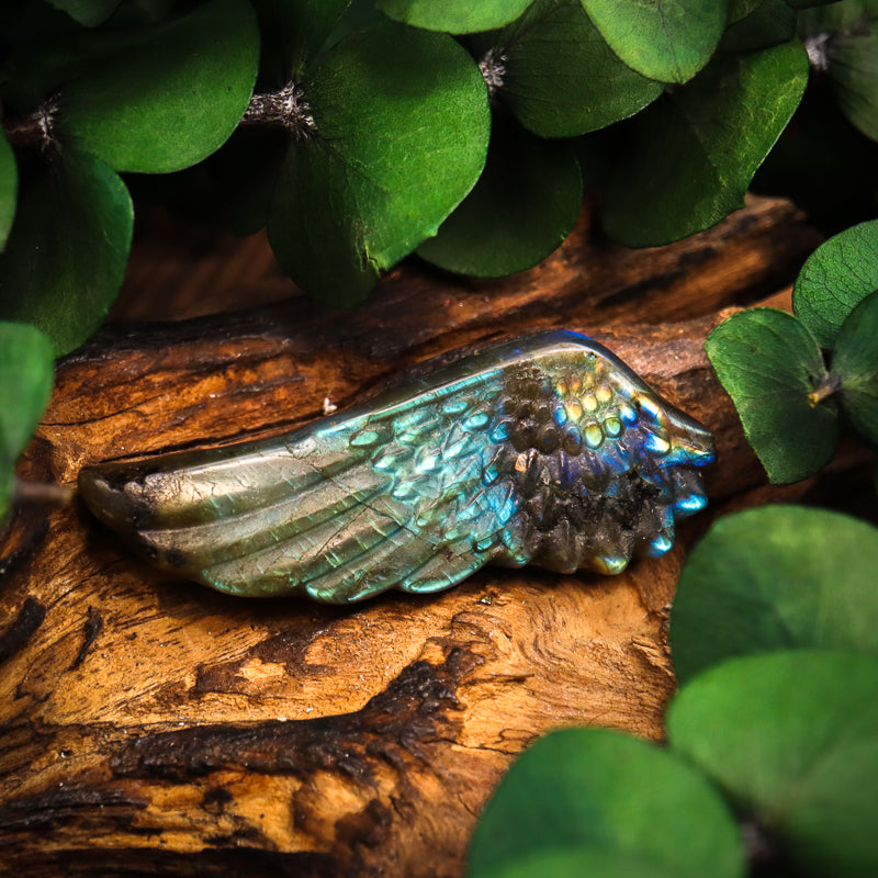 Labradorite Carved Wing