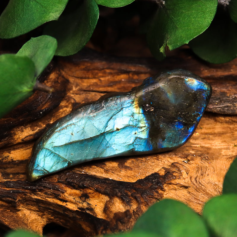Labradorite Carved Wing