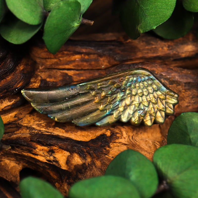 Labradorite Carved Wing