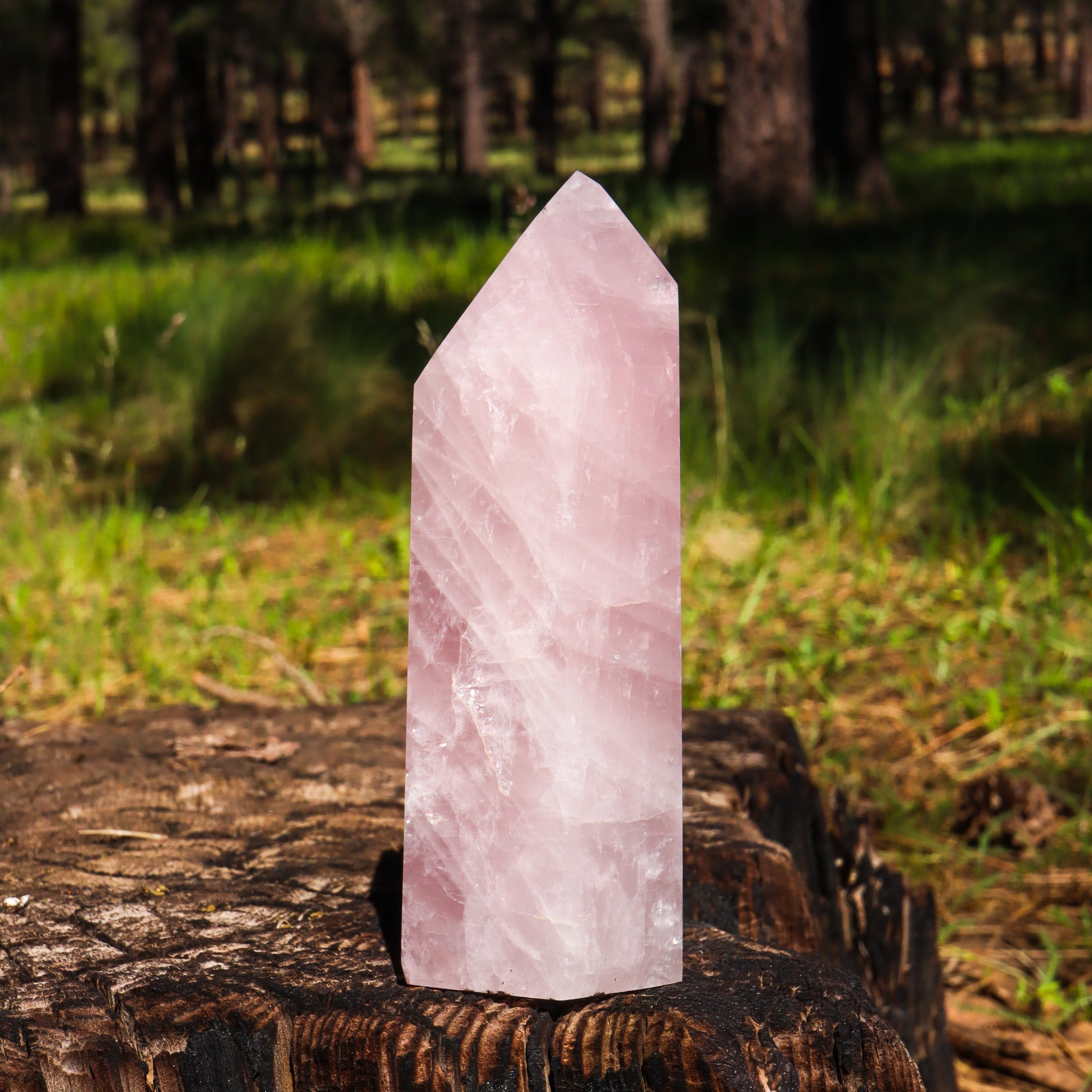 Large Rose Quartz Point
