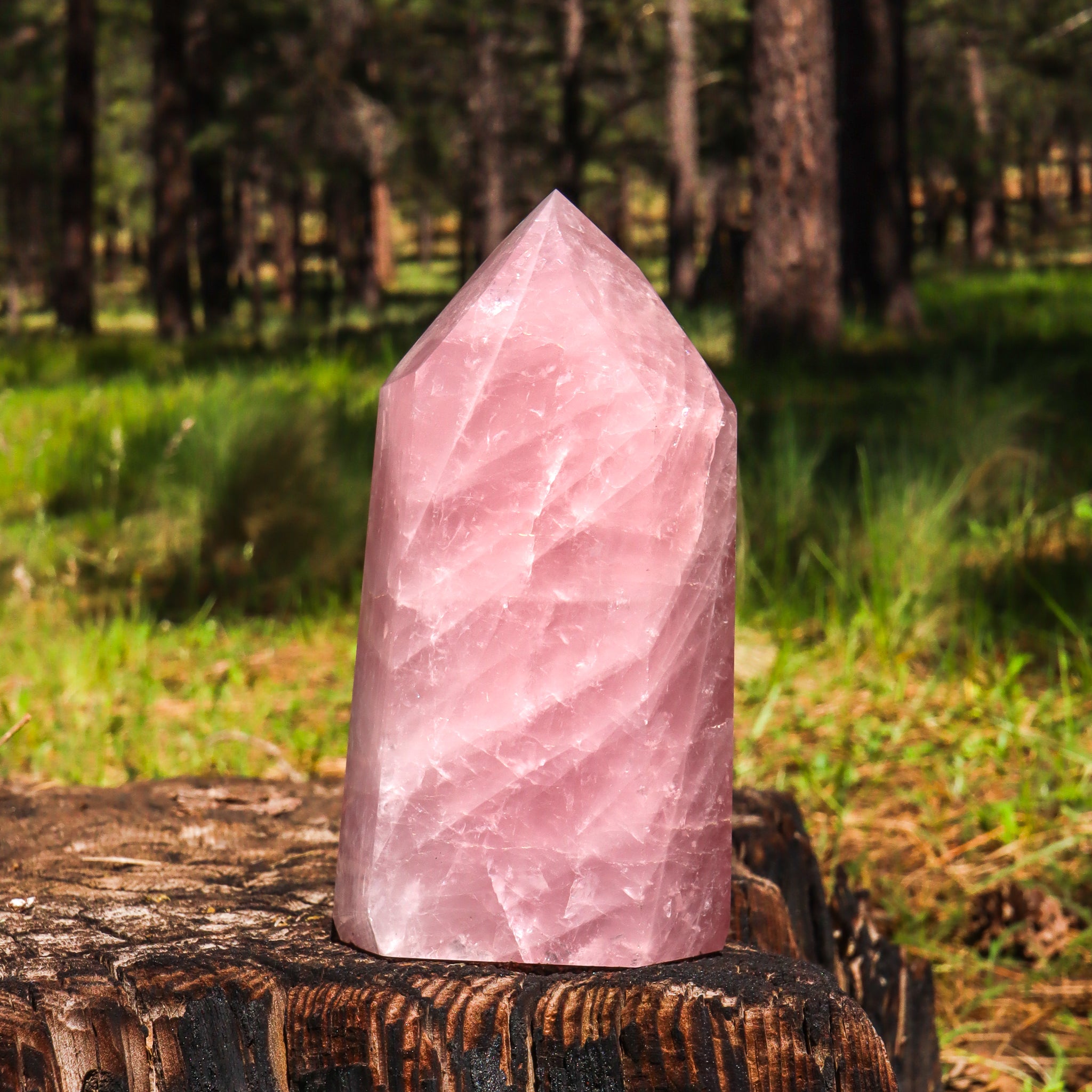 Large Rose Quartz Point