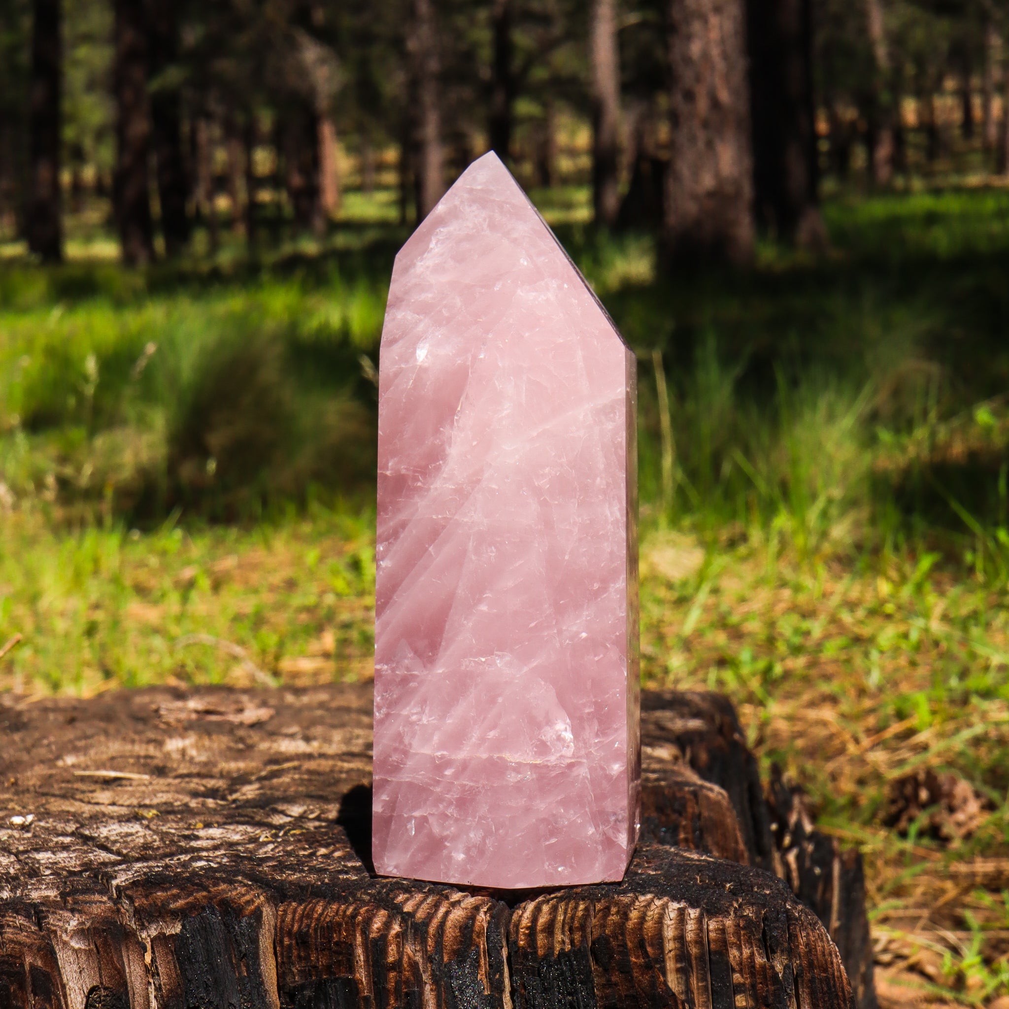 Large Rose Quartz Point