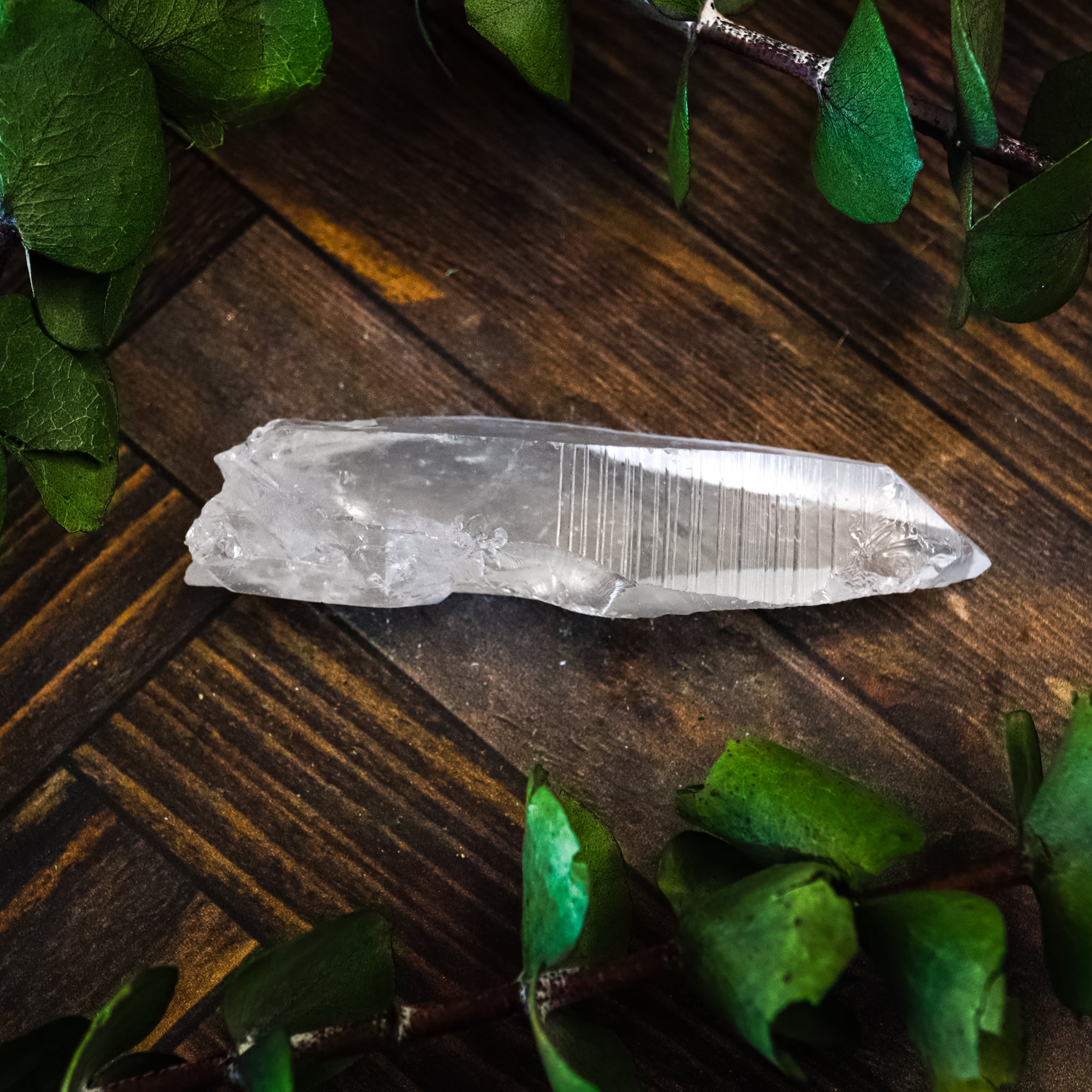Lemurian Clear Quartz Point