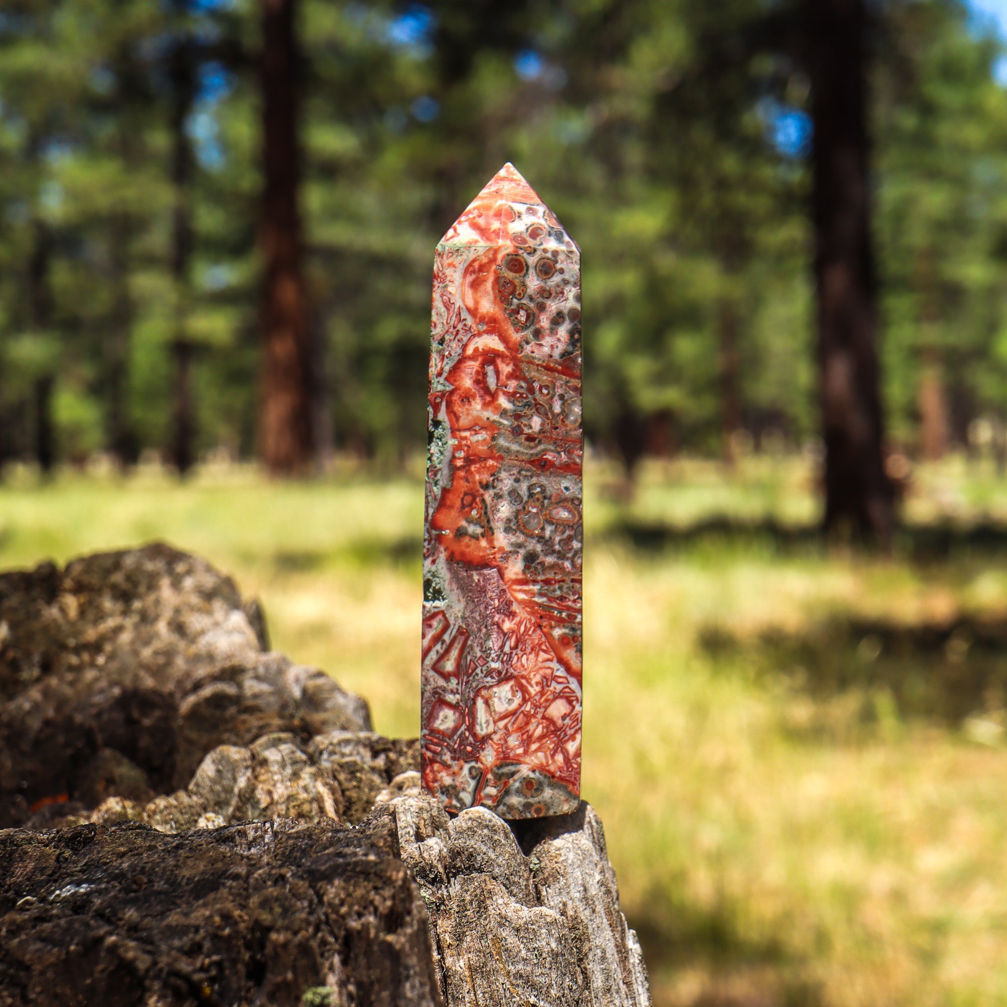 Leopard Skin Jasper Point