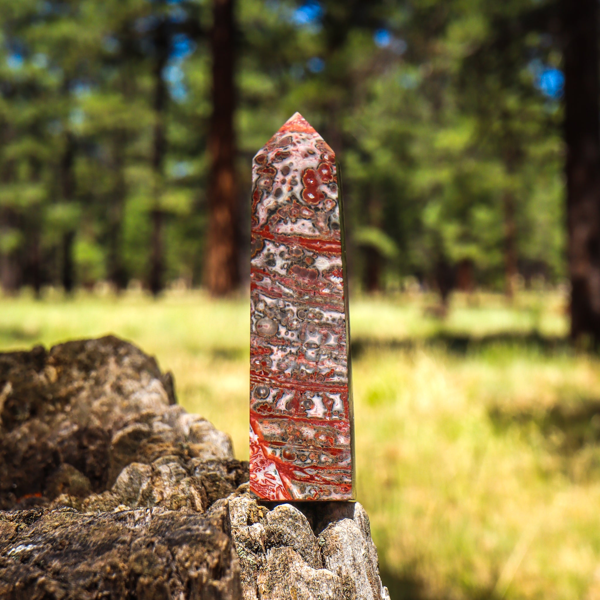 Leopard Skin Jasper Point