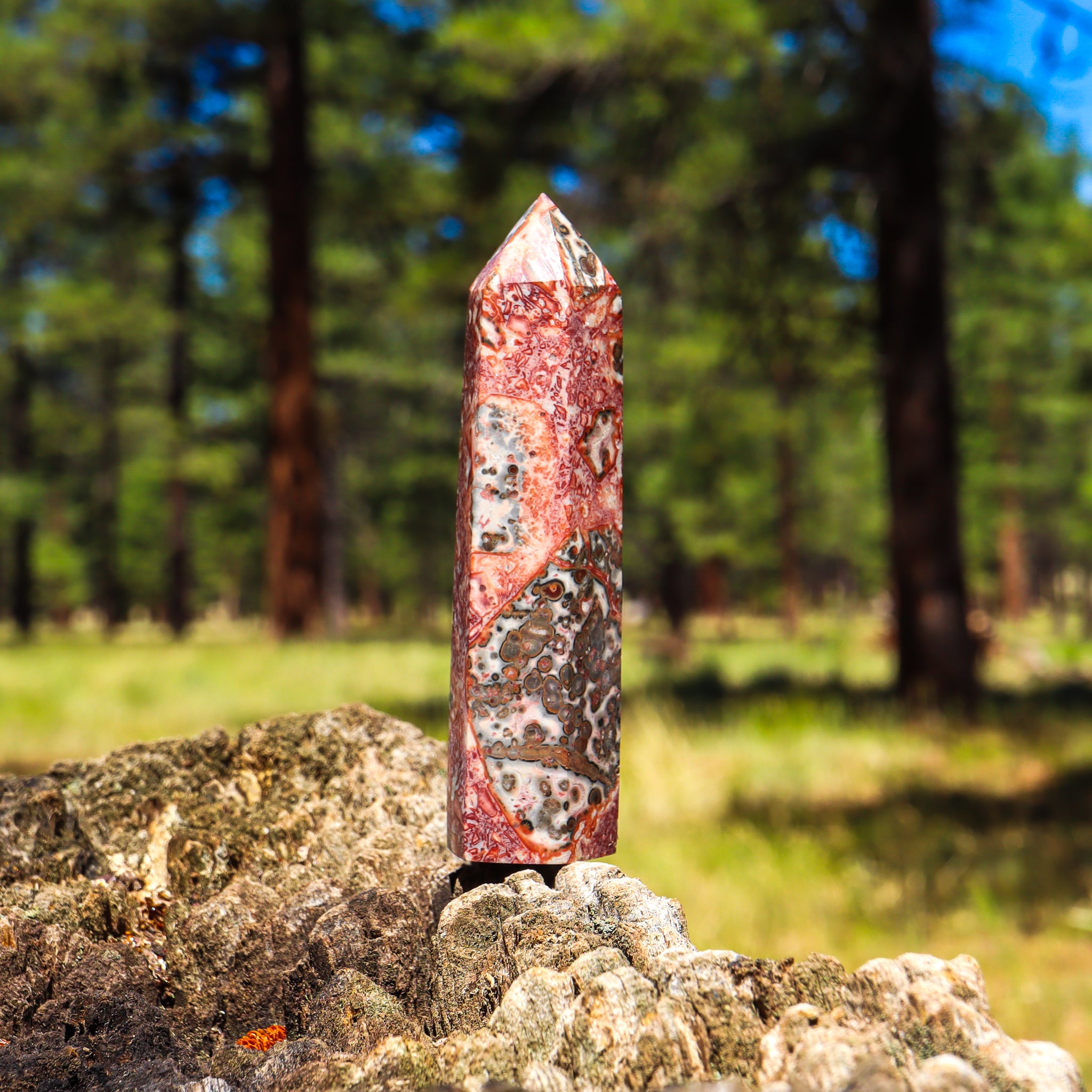 Leopard Skin Jasper Point