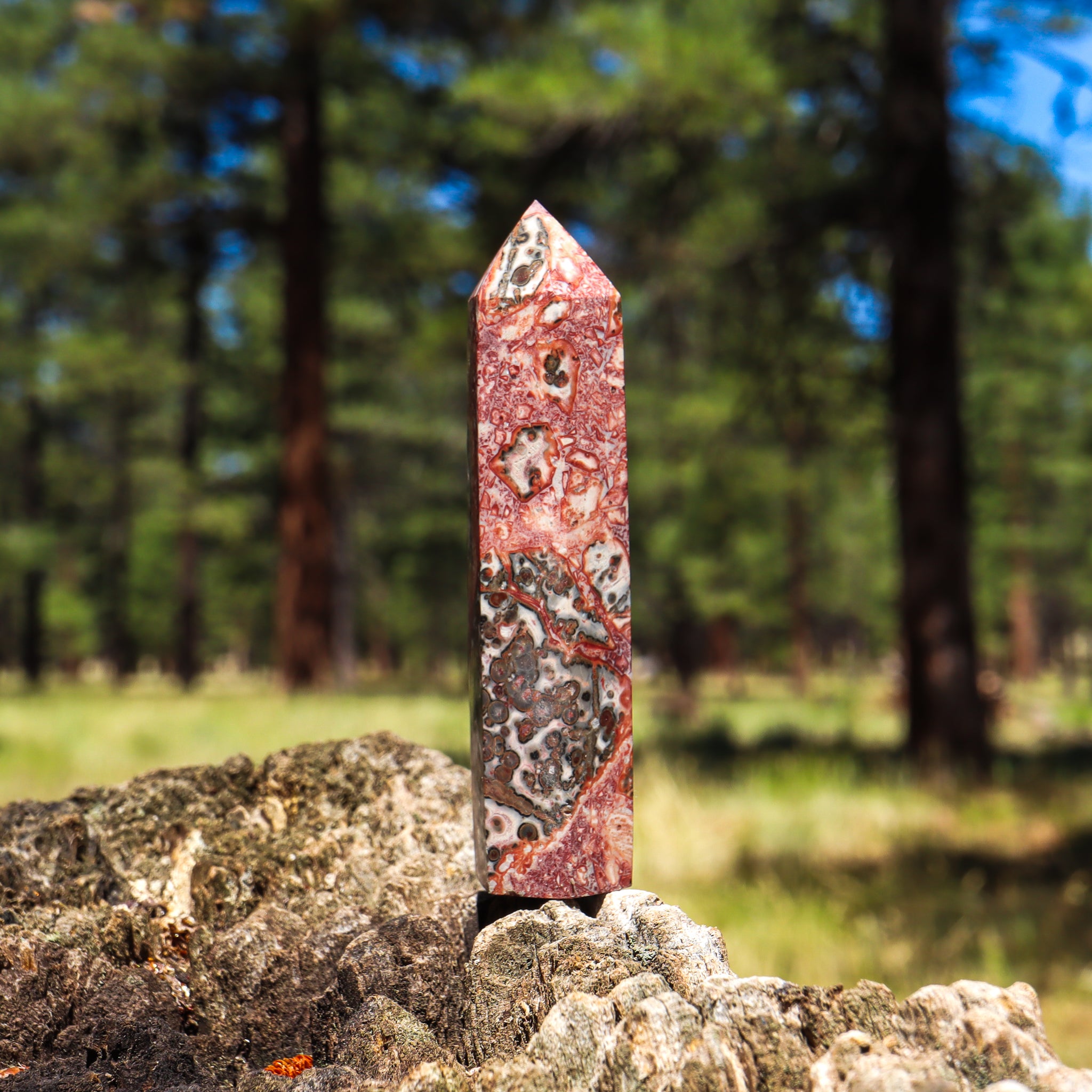 Leopard Skin Jasper Point