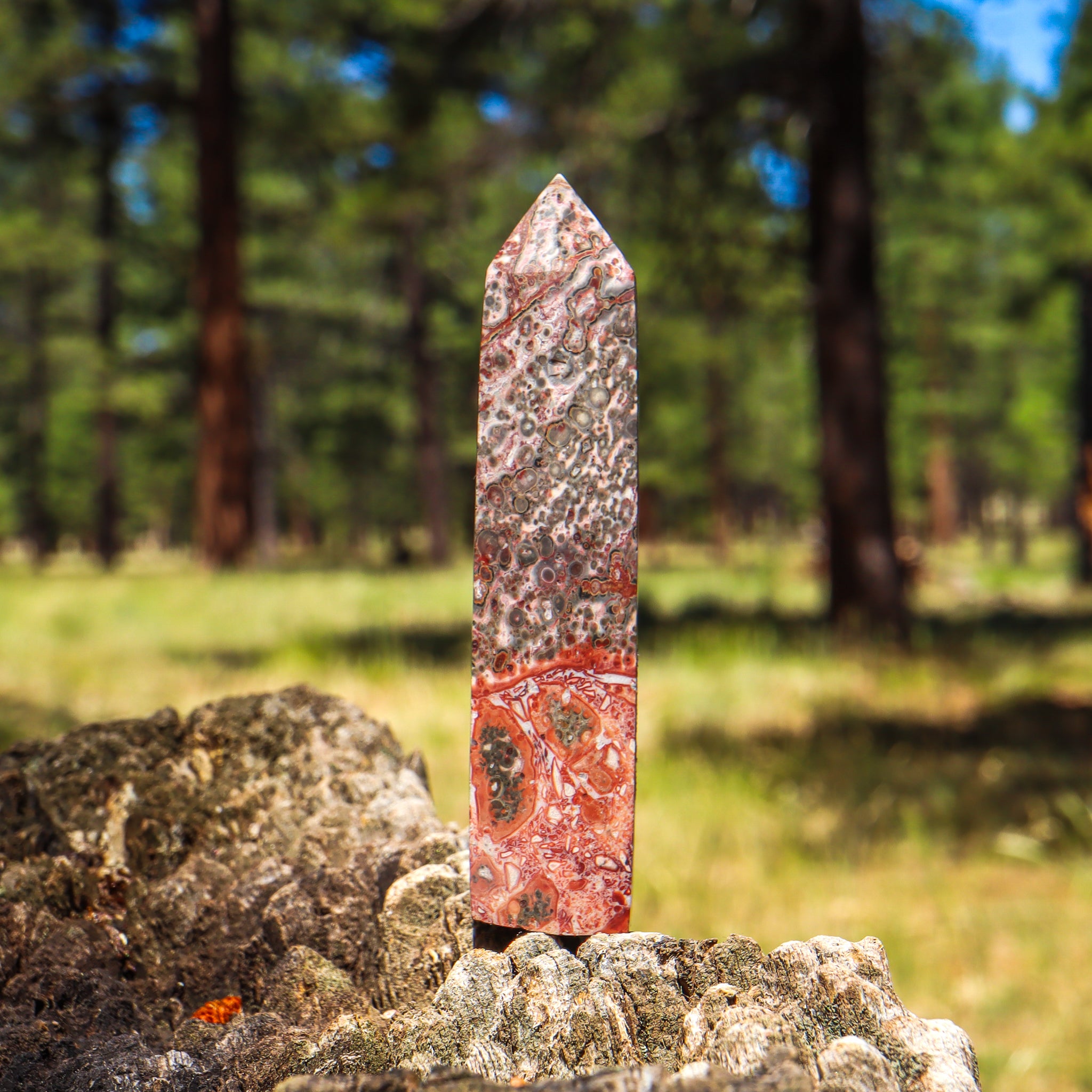 Leopard Skin Jasper Point