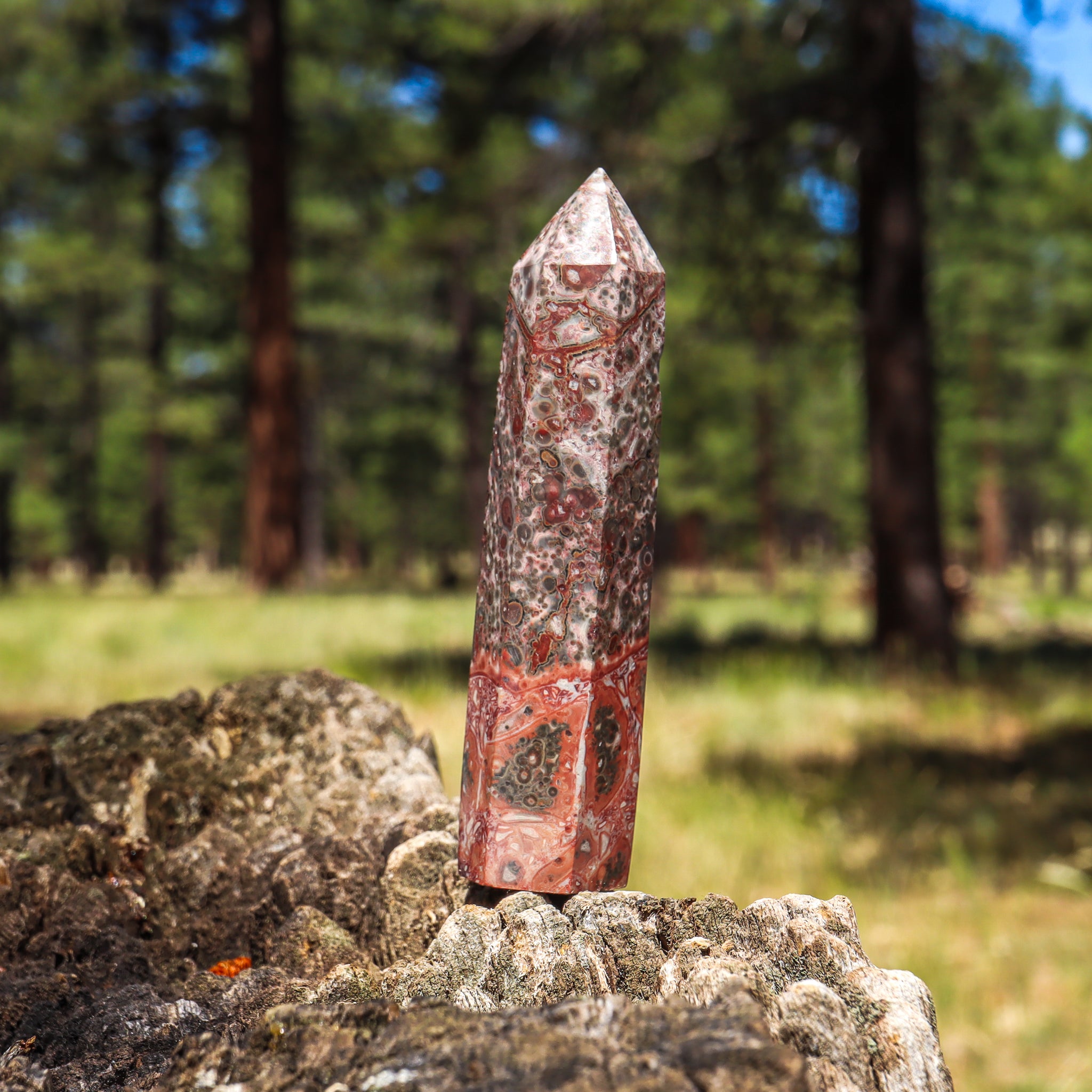 Leopard Skin Jasper Point