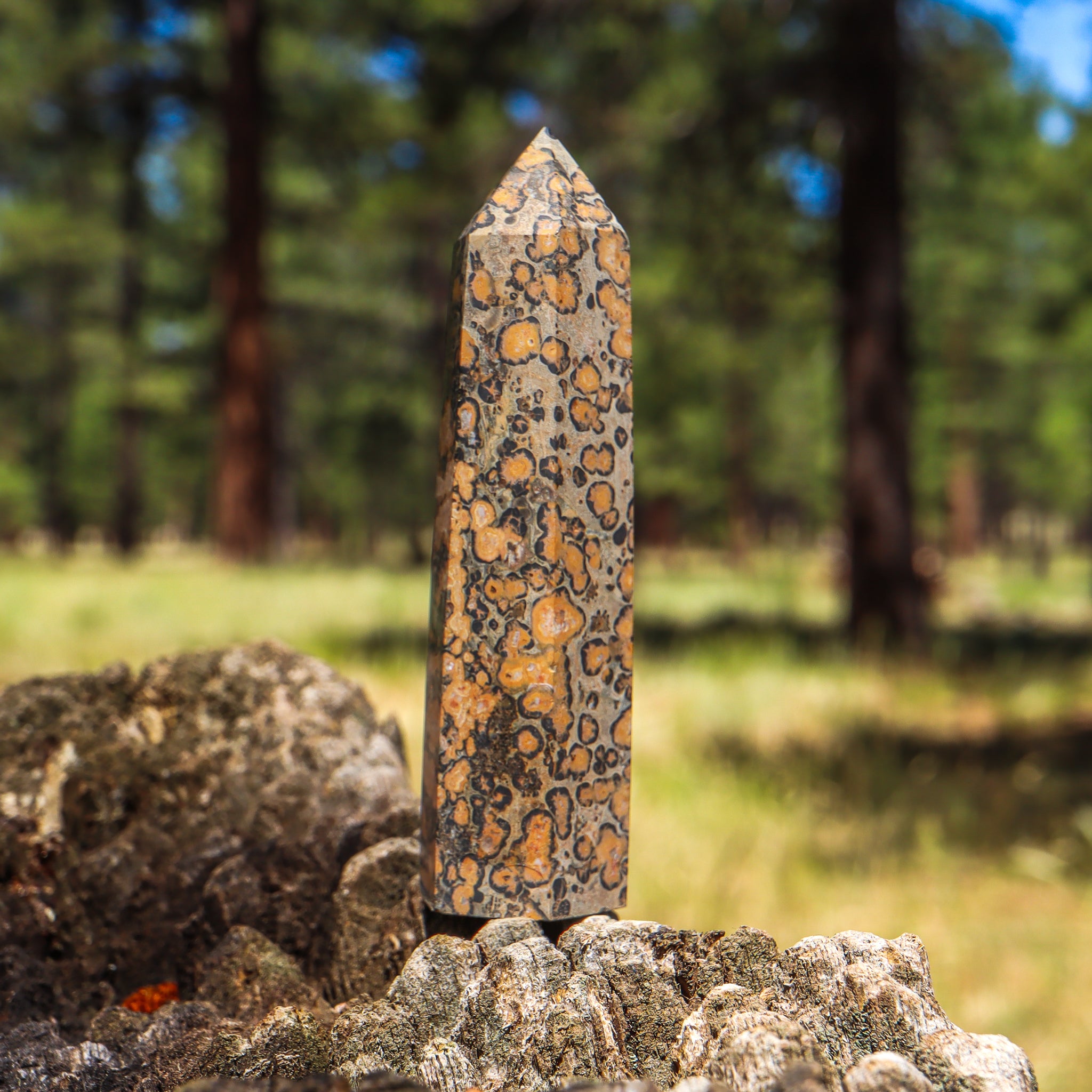 Leopard Skin Jasper Point