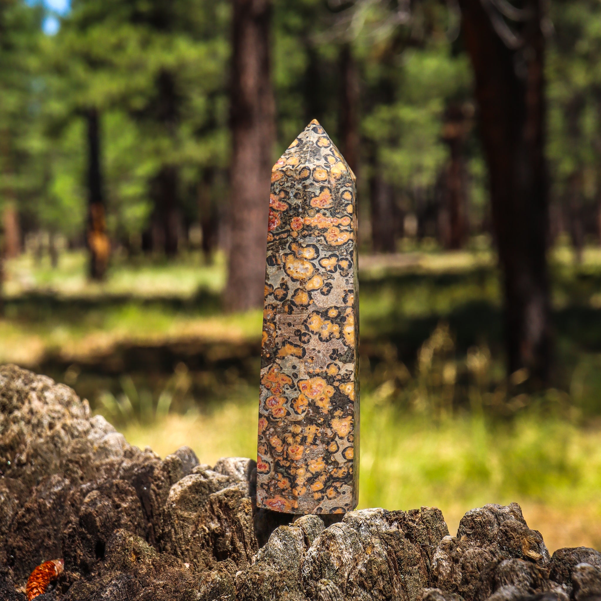 Leopard Skin Jasper Point