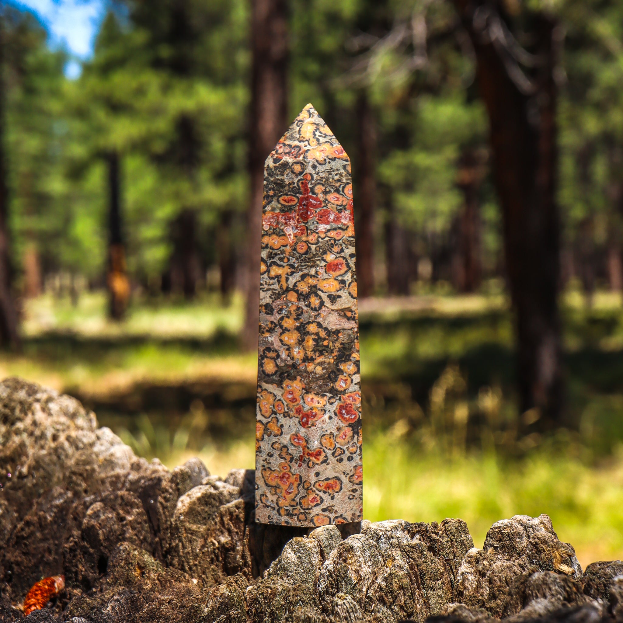 Leopard Skin Jasper Point
