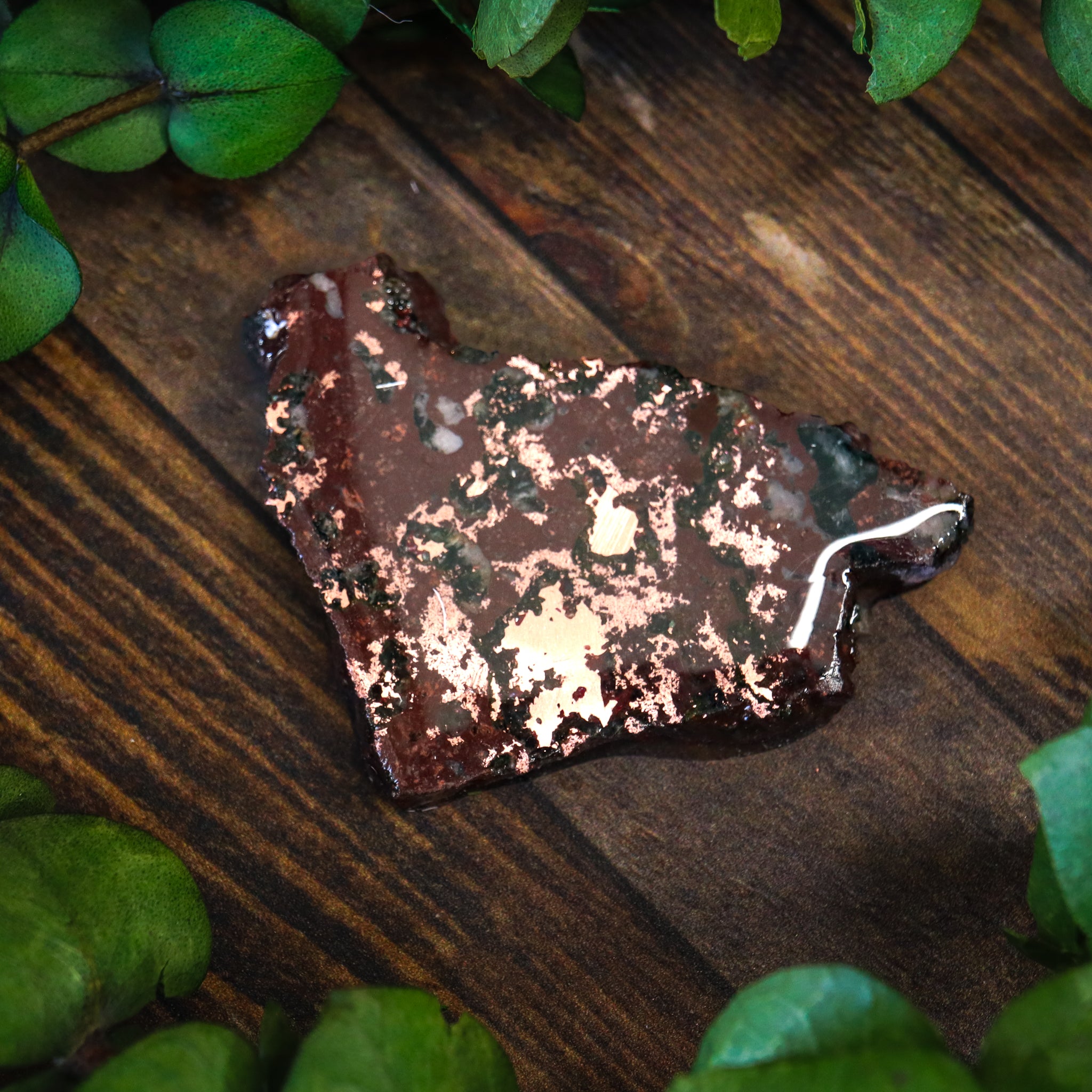 Michigan Native Copper Slice