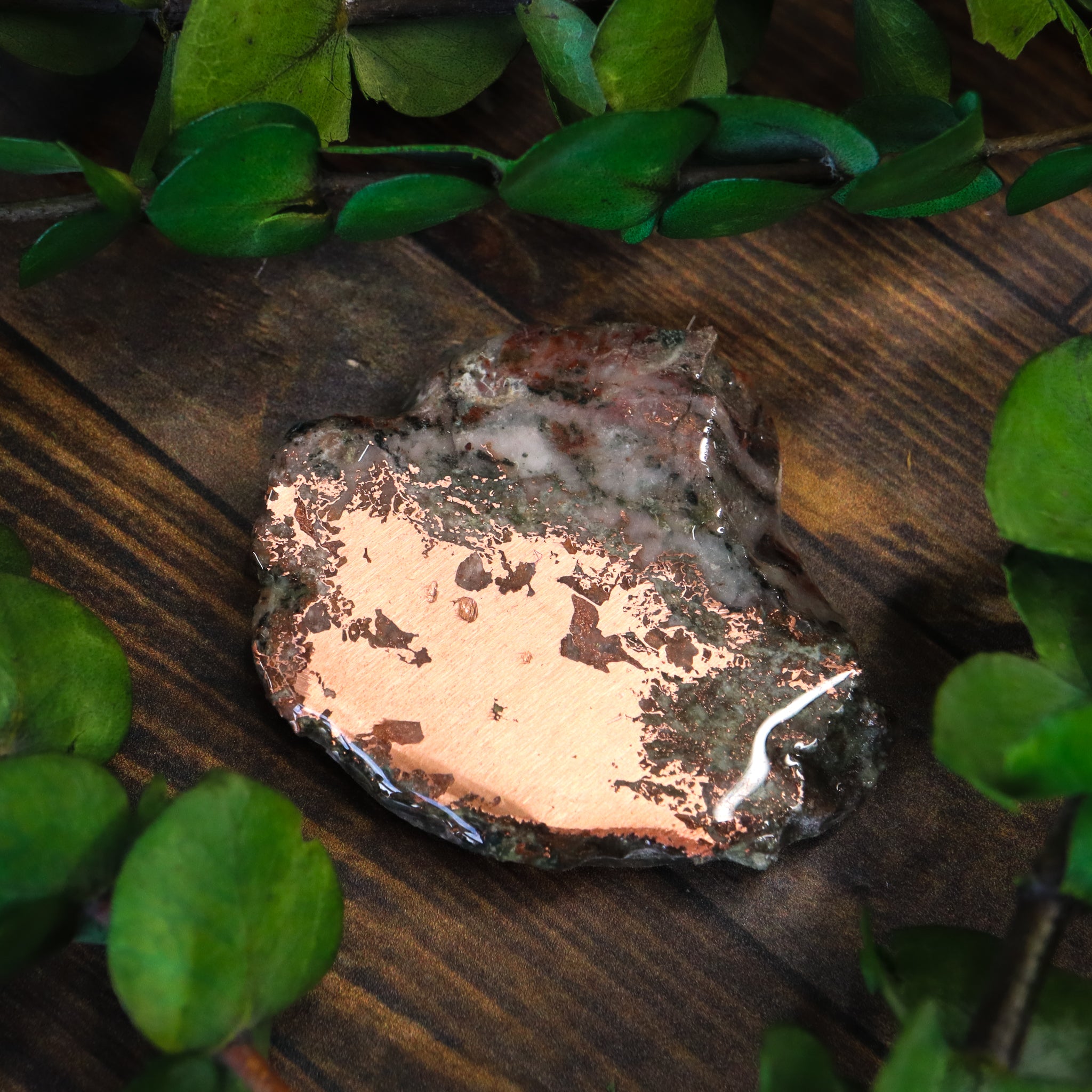 Michigan Native Copper Slice