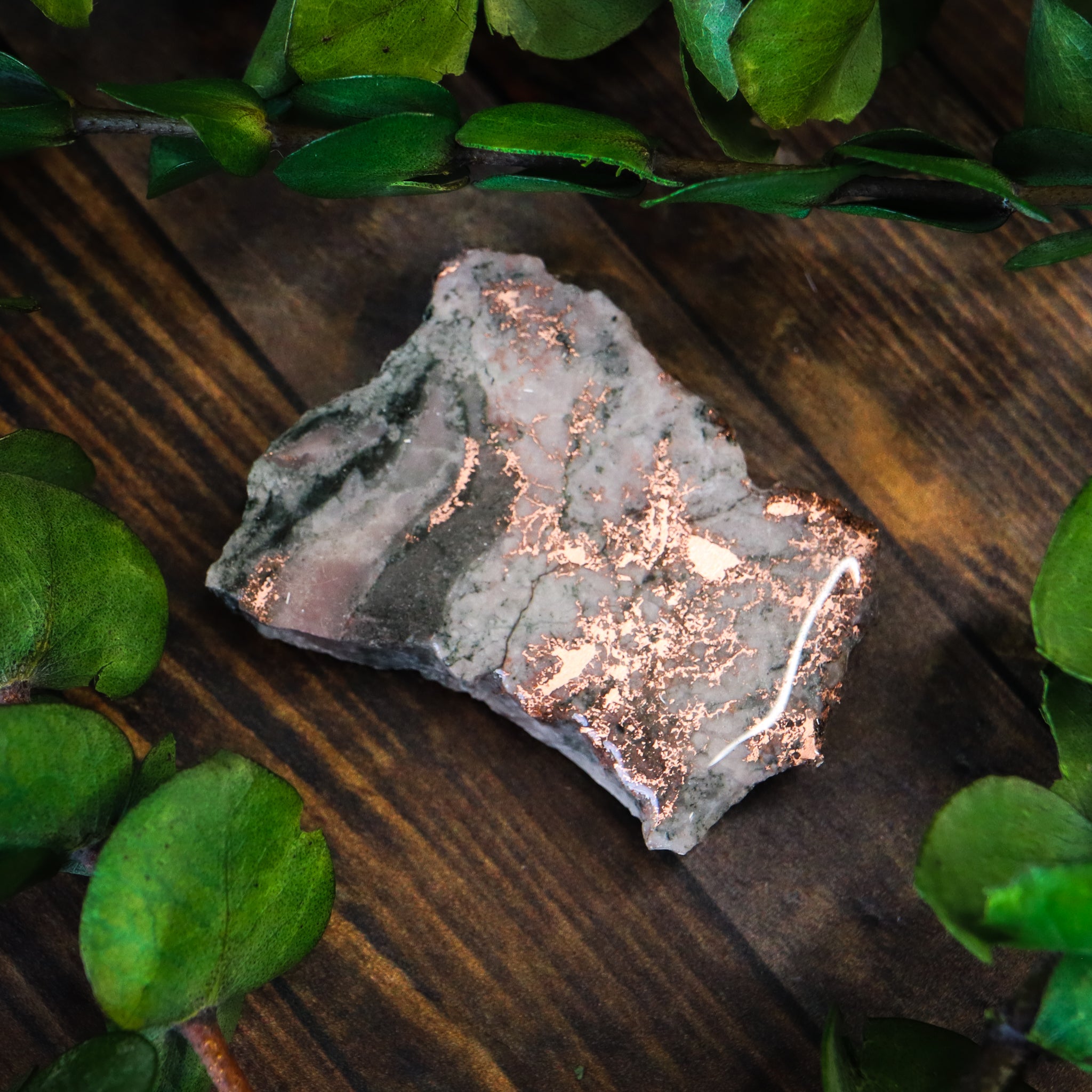 Michigan Native Copper Slice