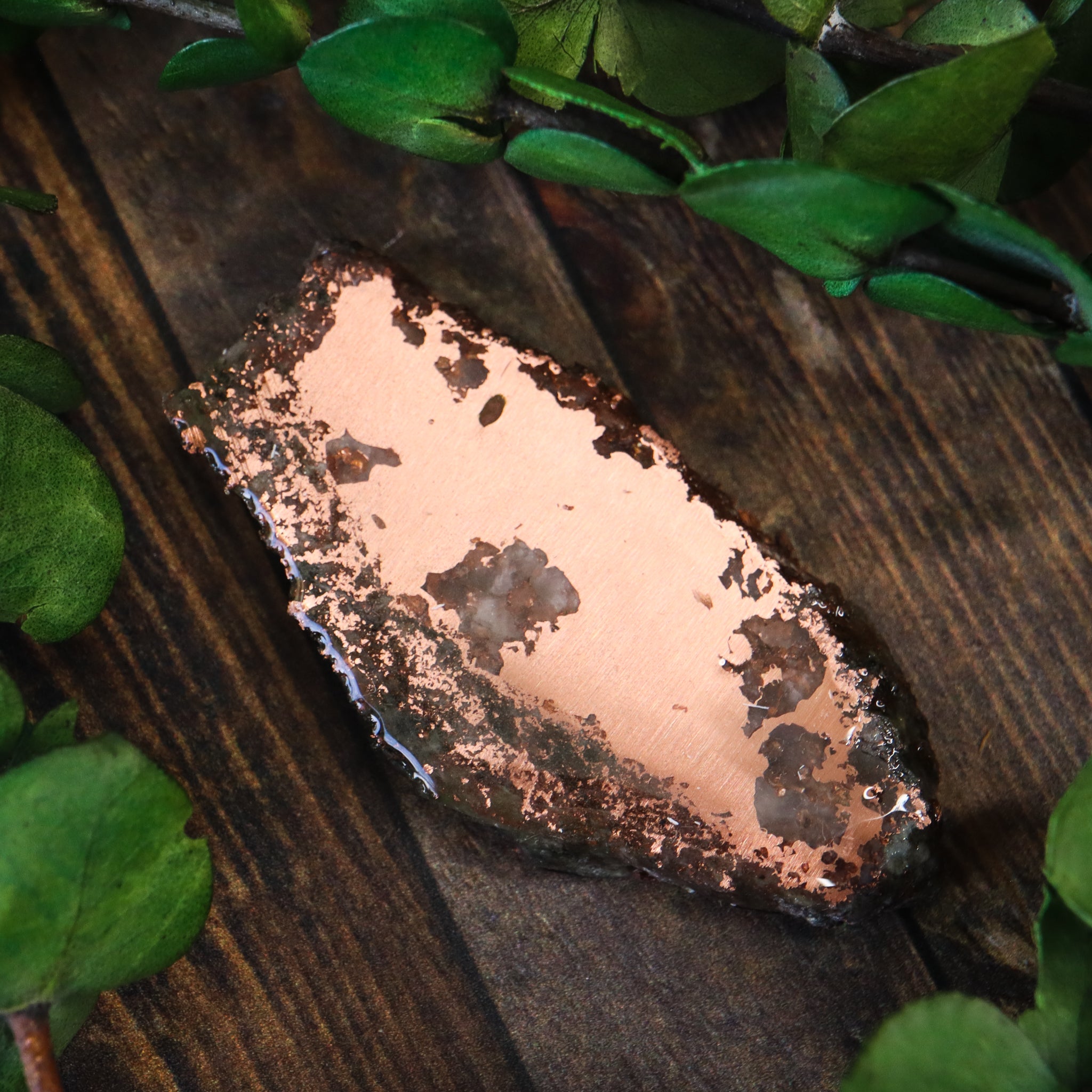 Michigan Native Copper Slice