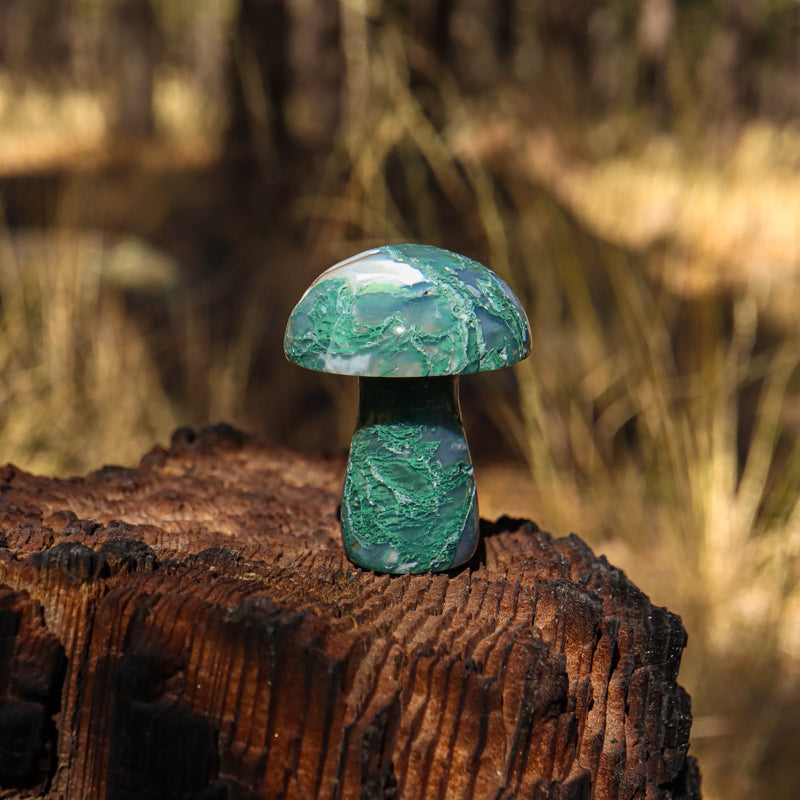 Moss Agate Carved Mushroom